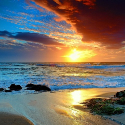 تلاوة لا توصف من سورة النحل -عبد الرحمن مسعد