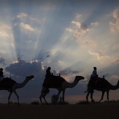 Im On The Second Camel 2024 2 - 1-24