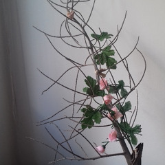 CORALES - NINAS + MUNECAS 13 01 2017