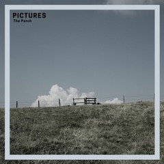 Pictures