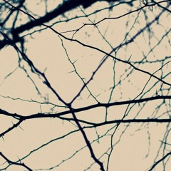 Run ft. Hugh Macdonald