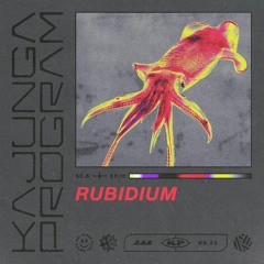 Kajunga Program SE.6 EP.10 - Rubidium