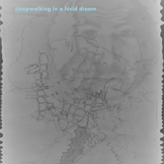 Sleepwalking In A Lucid Dream_Rough draft