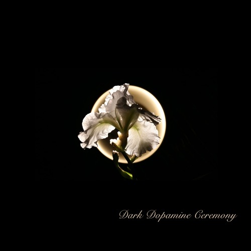 Dark Dopamine Ceremony