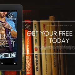 Absolutely free. The Troubleshooter, Norcross Security Book 2#