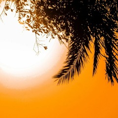 قل لمن الأرض ومن فيها - سورة المؤمنون.wav
