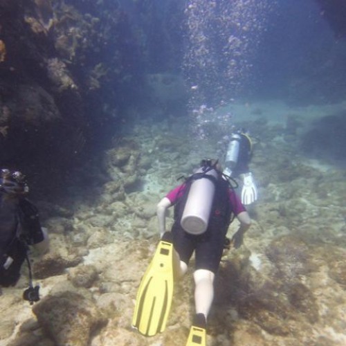 Stream Scuba Diving Sites Across The World by TravelMemorie Marketing