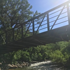 Won't You Come Along