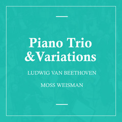 Piano Trio No. 3 in C Minor, Op. 1: I. Allegro con brio
