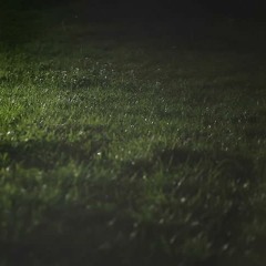 soil (lofi house take)