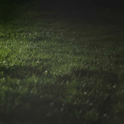 soil (lofi house take)