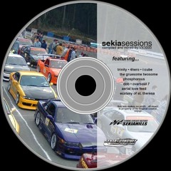 Sekia Sessions: The Sophisticated Side Of Electronic Music (VX3000 Mix)