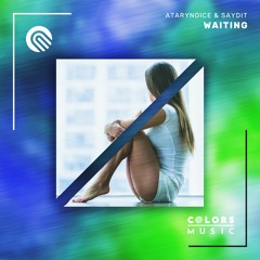 Atarynoice & Saydit - Waiting