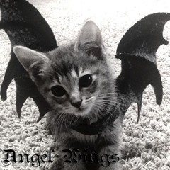 Angel Wings (Interlude)