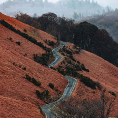 HIDDEN HILLS