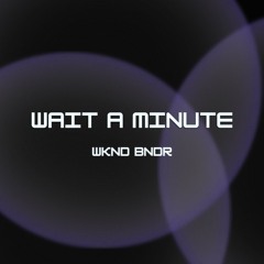Wait A Minute Radio Edit