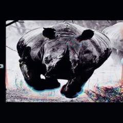 2T4 & CHEYENO ELESBE - NOSOROŻCE | BEAT PROD. CHEYENO ELESBE