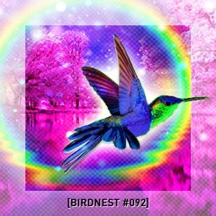 BIRDNEST #092 | Springerized! | Podcast by The Lahar