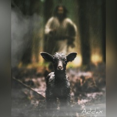 The Good Shepherd