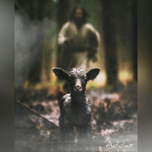 Stream The Good Shepherd by ADDAX | Listen online for free on SoundCloud