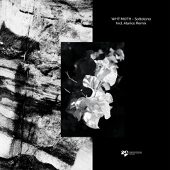 PREMIERE: WHT MOTH - Diatonico