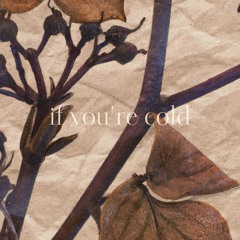 if you're cold