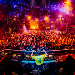 Rose Ringed - Green Valley - Road to Tomorrowland 2025