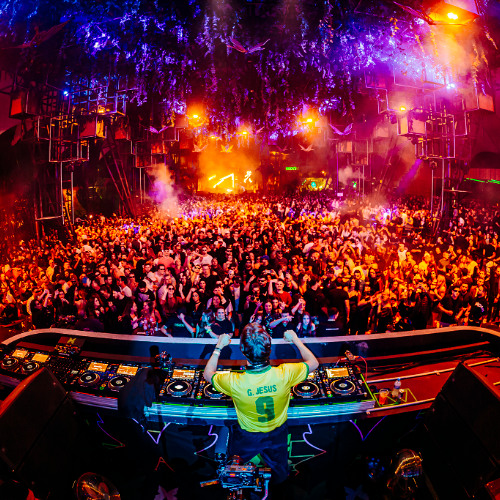 Rose Ringed - Green Valley - Road to Tomorrowland 2025