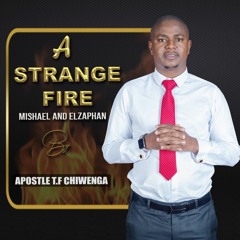 ENGLISH 24.06.2020 Leviticus 10 Vs 1 - 10 A Strange Fire - Mishael And Elzaphan