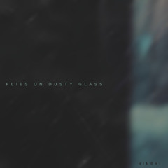 Flies on Dusty Glass