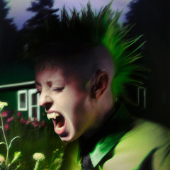 Scarred Heart