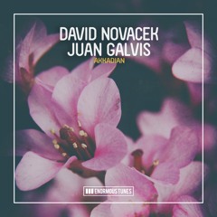 DAVID NOVACEK & JUAN GALVIS- Akkadian (Original Mix)