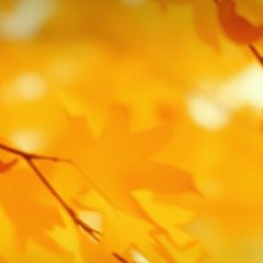 October Sun