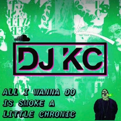 ALL I WANNA DO IS SMOKE A LITTLE CHRONIC