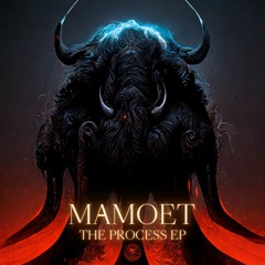 Mamoet - Soundwave [Liondub International]