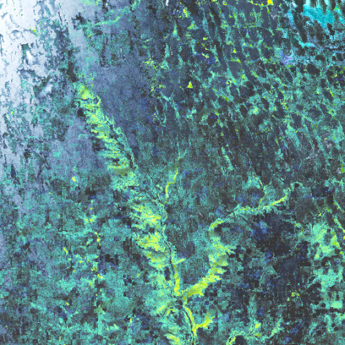 Pattern Recognition w/ R A L L Y & Gardenparty - 04/04/2025