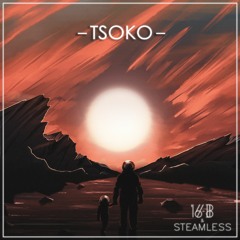 16 - B & Steamless - Tsoko