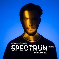Spectrum Radio 222 by JORIS VOORN