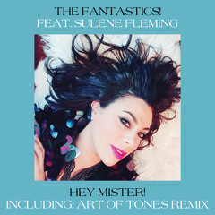 Hey Mister! (Art of Tones Remix) [feat. Sulene Fleming]