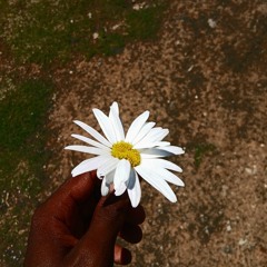 Jay_Chris_I_Dont_Believe_In_Love.mp3