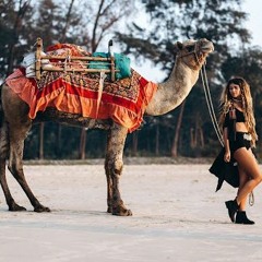 Mahragan Wa Aghany Kaman