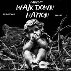 Walk Down Nation (ft. ZayboStunna, Trill Hd)