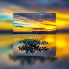 Parting Gift (hollowprpl)