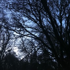 Ruairí de Búrca - Intention, Impact, Output #2 (08/03/25)