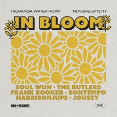 Jousey | In Bloom Set @ Tauranga Waterfront