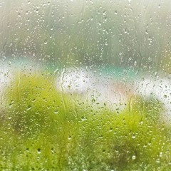 Rainy Day
