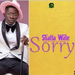 Shatta Wale - Sorry