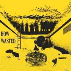 How Wasted (Ludacris, Black Pistol Fire)