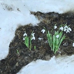 Only Swim in Melted Snow