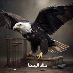 Malek El-Sama - ملك السما